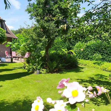 Daire Exoten-paradies Im Garten Seggewiss - Tierfreie Nichtraucherwohnung In Raesfeld, Kreis Borken *