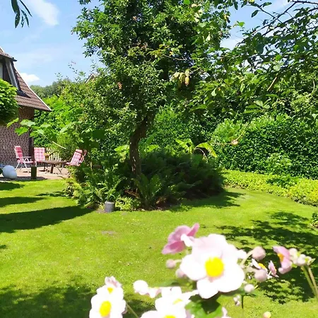 Apartment Exoten-paradies Im Garten Seggewiss - Tierfreie Nichtraucherwohnung *
