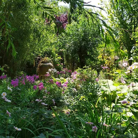 Exoten-paradies Im Garten Seggewiss - Tierfreie Nichtraucherwohnung Apartment *