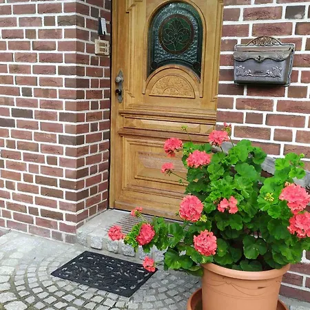 Exoten-paradies Im Garten Seggewiss - Tierfreie Nichtraucherwohnung Apartment *