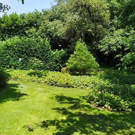 Exoten-paradies Im Garten Seggewiss - Tierfreie Nichtraucherwohnung In Raesfeld, Kreis Borken Daire Raesfeld