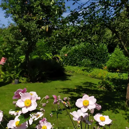 Exoten-paradies Im Garten Seggewiss - Tierfreie Nichtraucherwohnung In Raesfeld, Kreis Borken Apartman Raesfeld