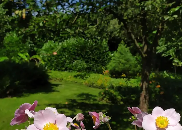 Lägenhet Exoten-paradies Im Garten Seggewiss - Tierfreie Nichtraucherwohnung In Raesfeld, Kreis Borken Raesfeld