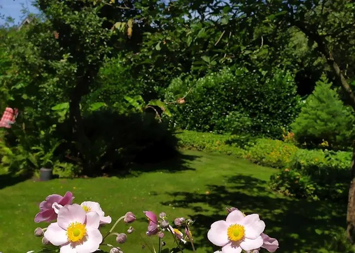 Exoten-paradies Im Garten Seggewiss - Tierfreie Nichtraucherwohnung In Raesfeld, Kreis Borken Lägenhet Raesfeld